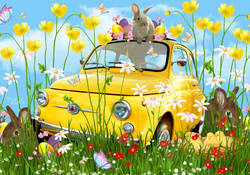 Easter Bunny Car