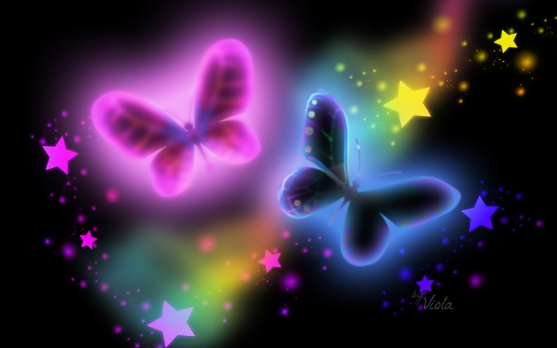 Butterflies and Stars