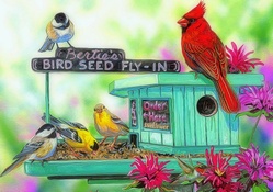 ★Bird Seeds★