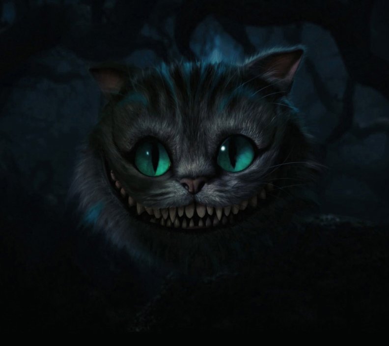 horror_cat.jpg