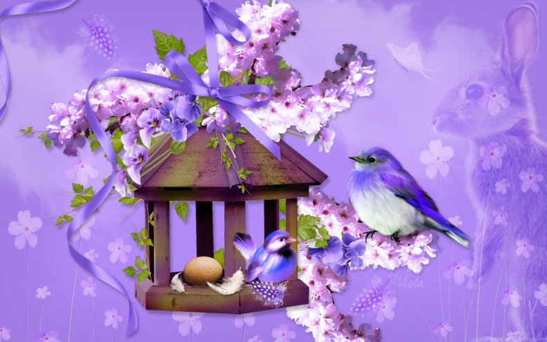 spring_birdhouse.jpg