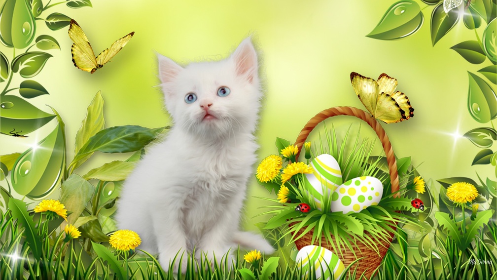 Kittens Easter Spring