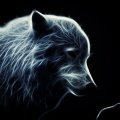 Glowing Artic Wolf