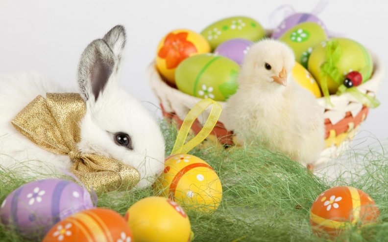 easter_bunny_and_chick.jpg
