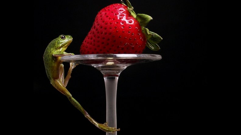 strawberry_and_frog.jpg