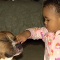 Children and dog