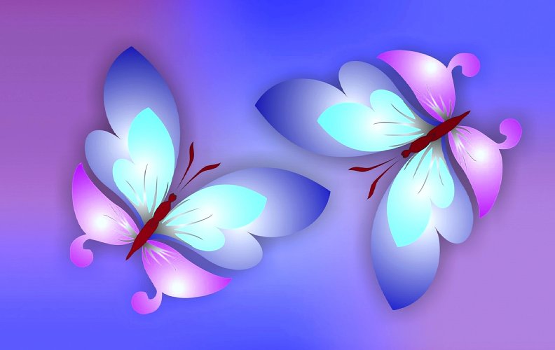 delicate_butterflies.jpg