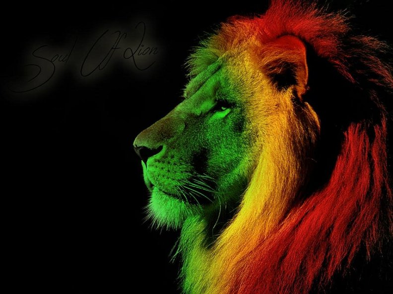 Soul Of Lion