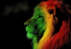 Soul Of Lion