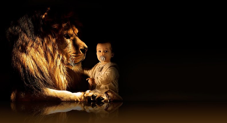 Baby and lion