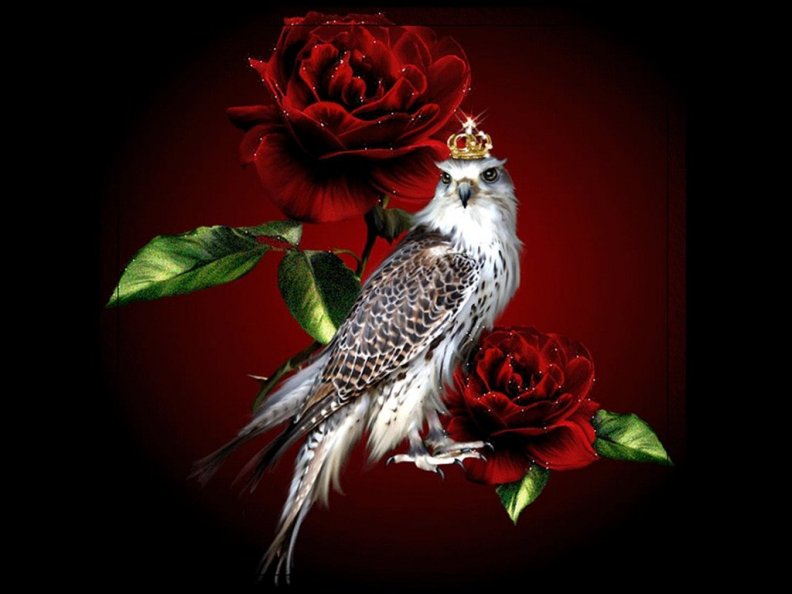 the_bird_and_the_red_roses.jpg