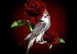 The Bird and The Red Roses