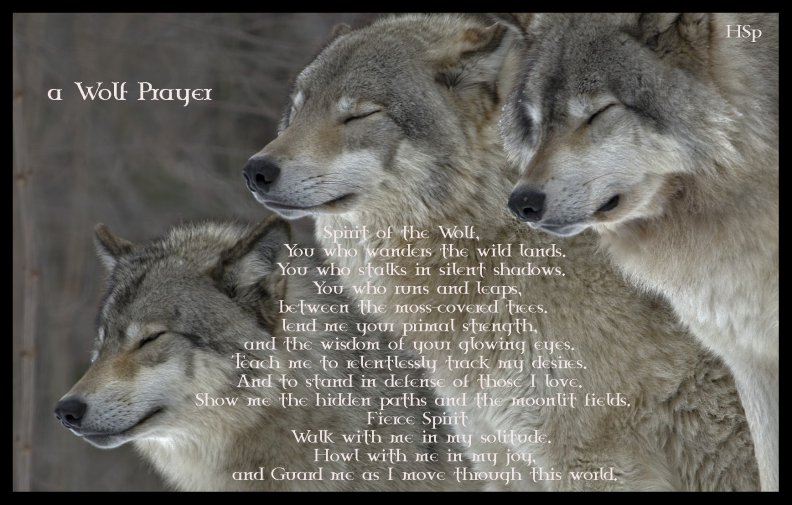 wolf_prayer.jpg