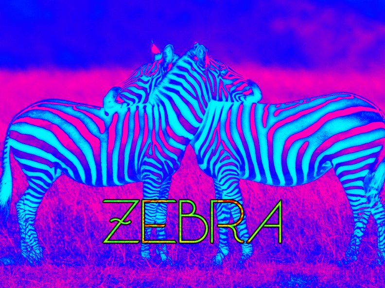 trippy_zebras.jpg