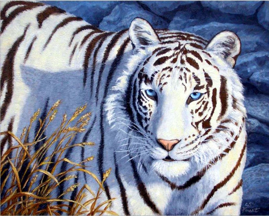 Blue_Eyed Tiger