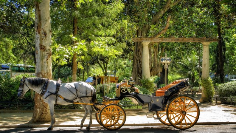 horse_and_carriage_ride_at_a_park_in_sevilla_spain.jpg