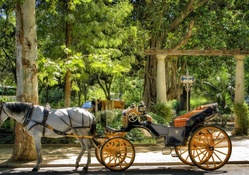 horse and carriage ride at a park in sevilla spain