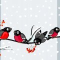 Caroling Winter Finches