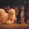 cats chorus