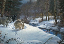 A Winter Howl