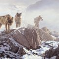wolves on the mountain  art