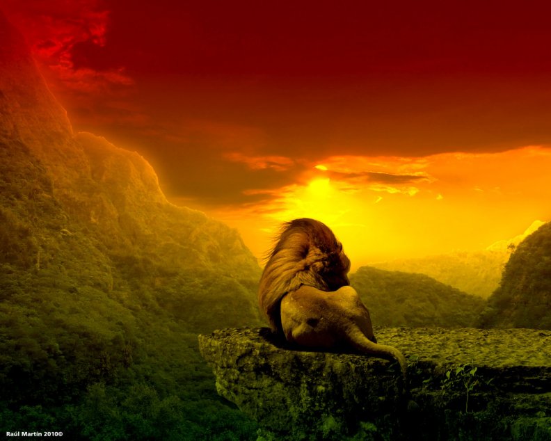lion_of_judah.jpg
