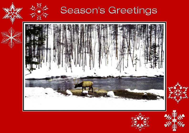 seasons_greetings_f2.jpg