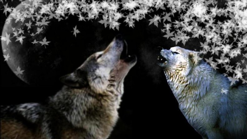 howling_wolves.jpg