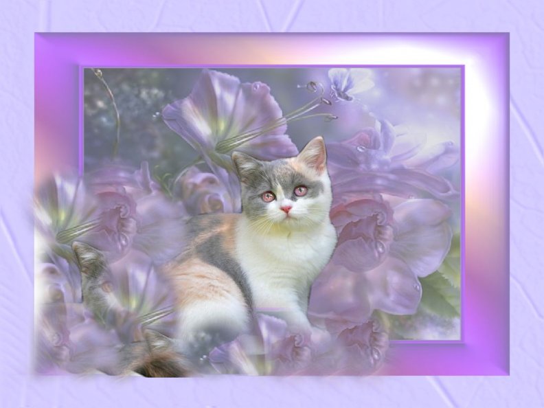 Pastel Kitten in Flowers