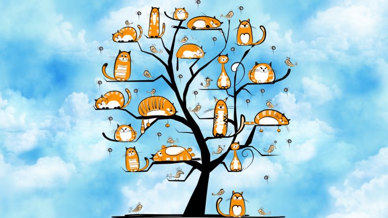 Tree of Cats