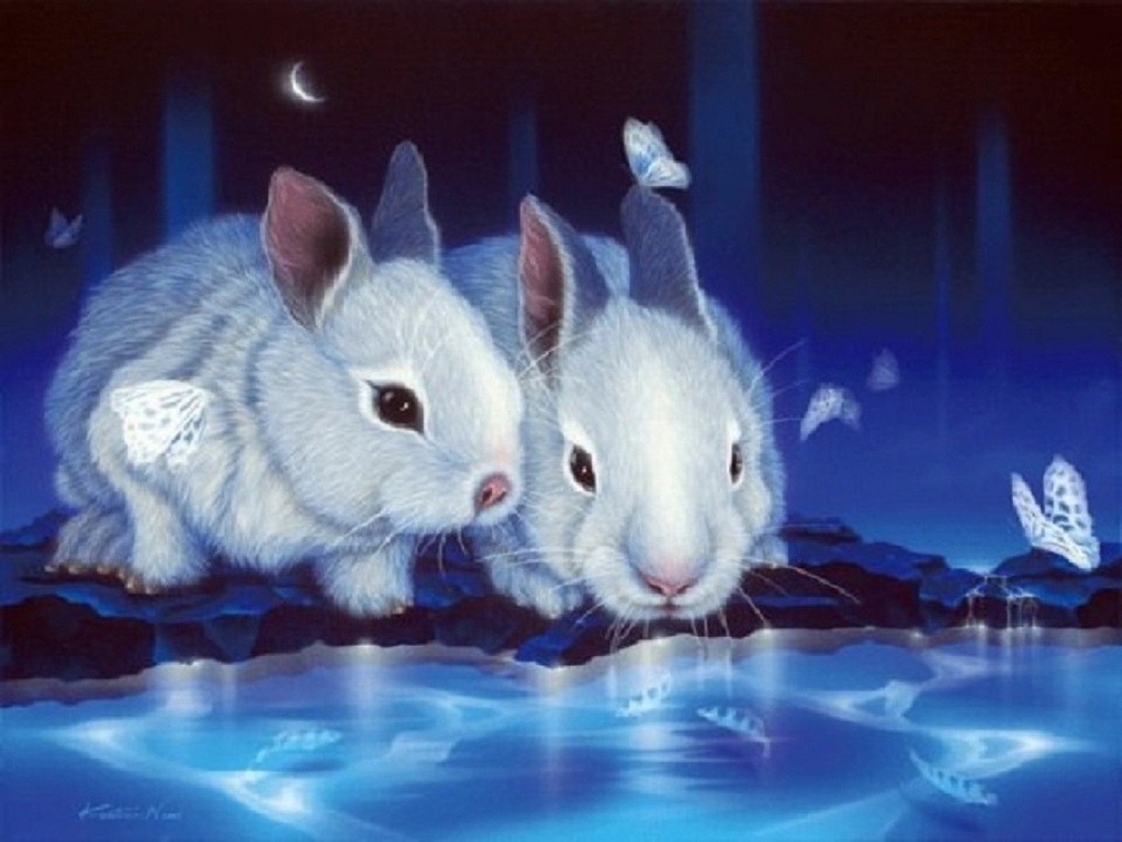 ★Cute Little Rabbits &amp; Butterflies★