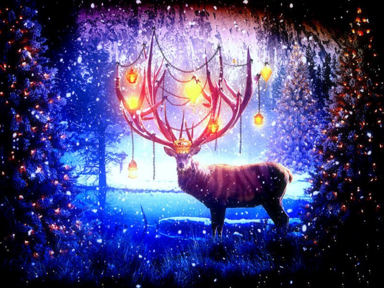 reindeer_in_christmas.jpg