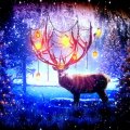 Reindeer in Christmas