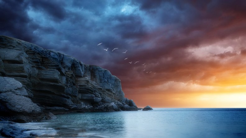 sea_birds_flying_over_cliffs_in_sunset_hdr.jpg