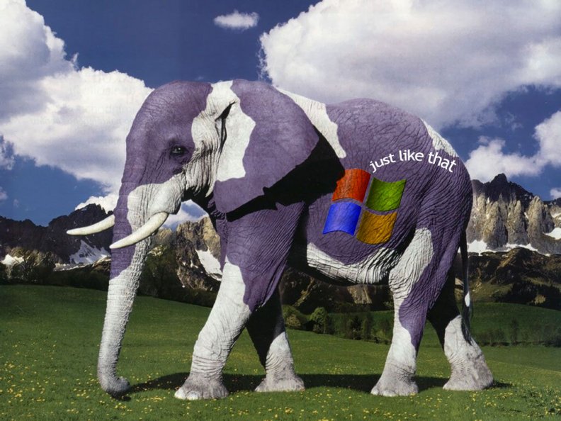 windows_elephant.jpg