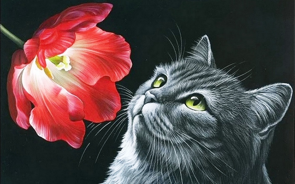 Kitty and flower...