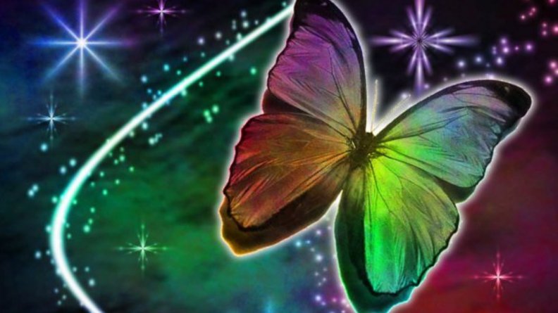 butterfly_dreams_version_2.jpg