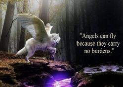 angels_can_fly