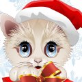 Sweet Christmas Cat