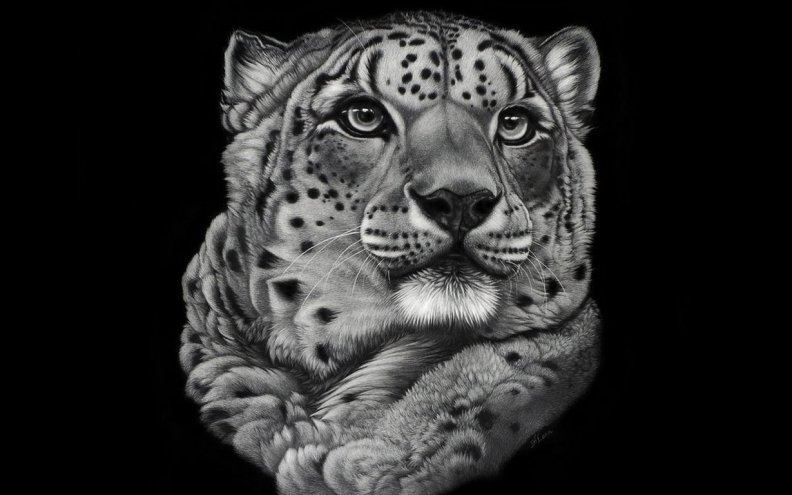 leopard art
