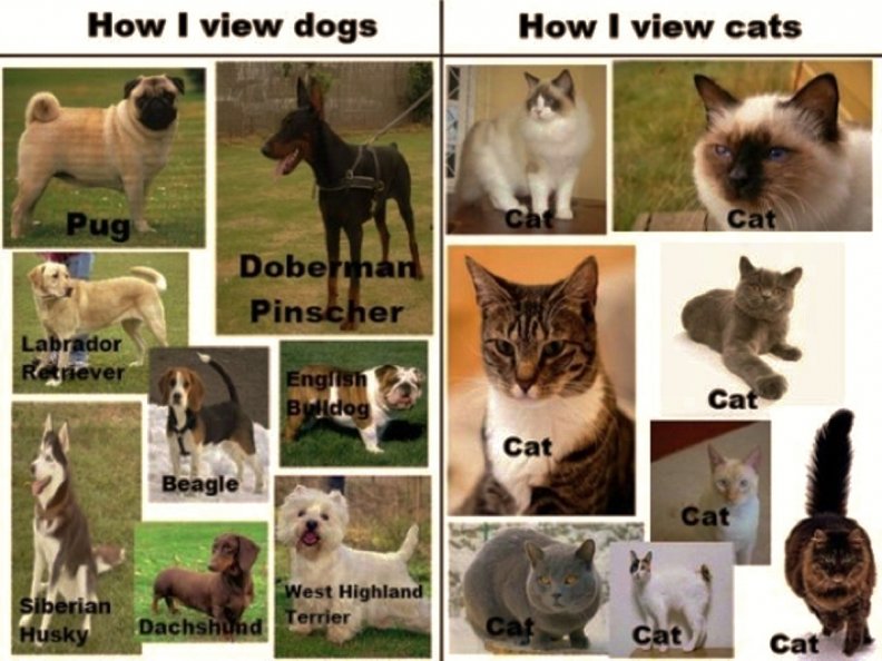 the_difference_between_dogs_and_cats.jpg