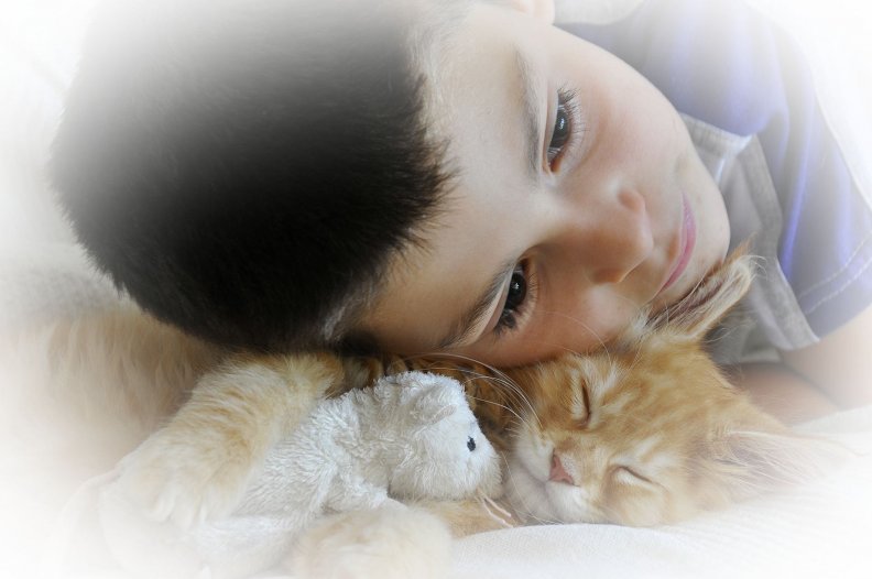 Boy, cat and toy