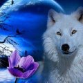 White wol fantasy