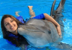 A Love For Dolphins