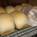 pussy and warm bread