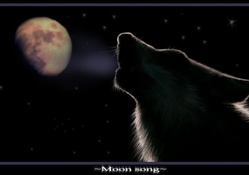 Wolf moon song