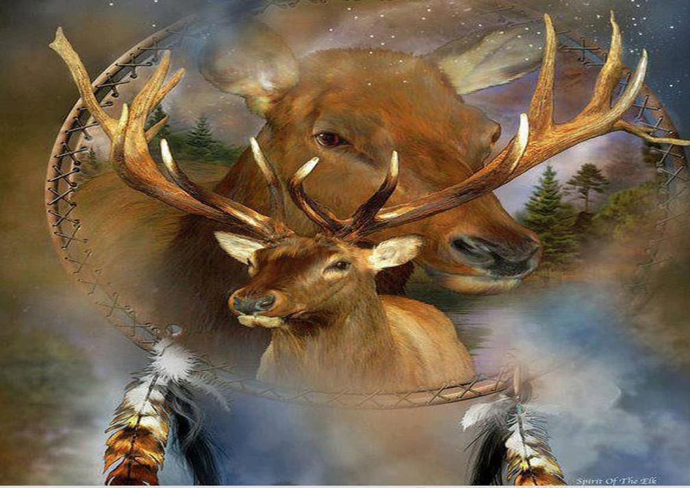 spirit of the elk