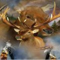 spirit of the elk