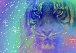 ◕Colorful Tiger◕ 