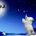 ~*~ Little Bear At The Christmas Eve ~*~